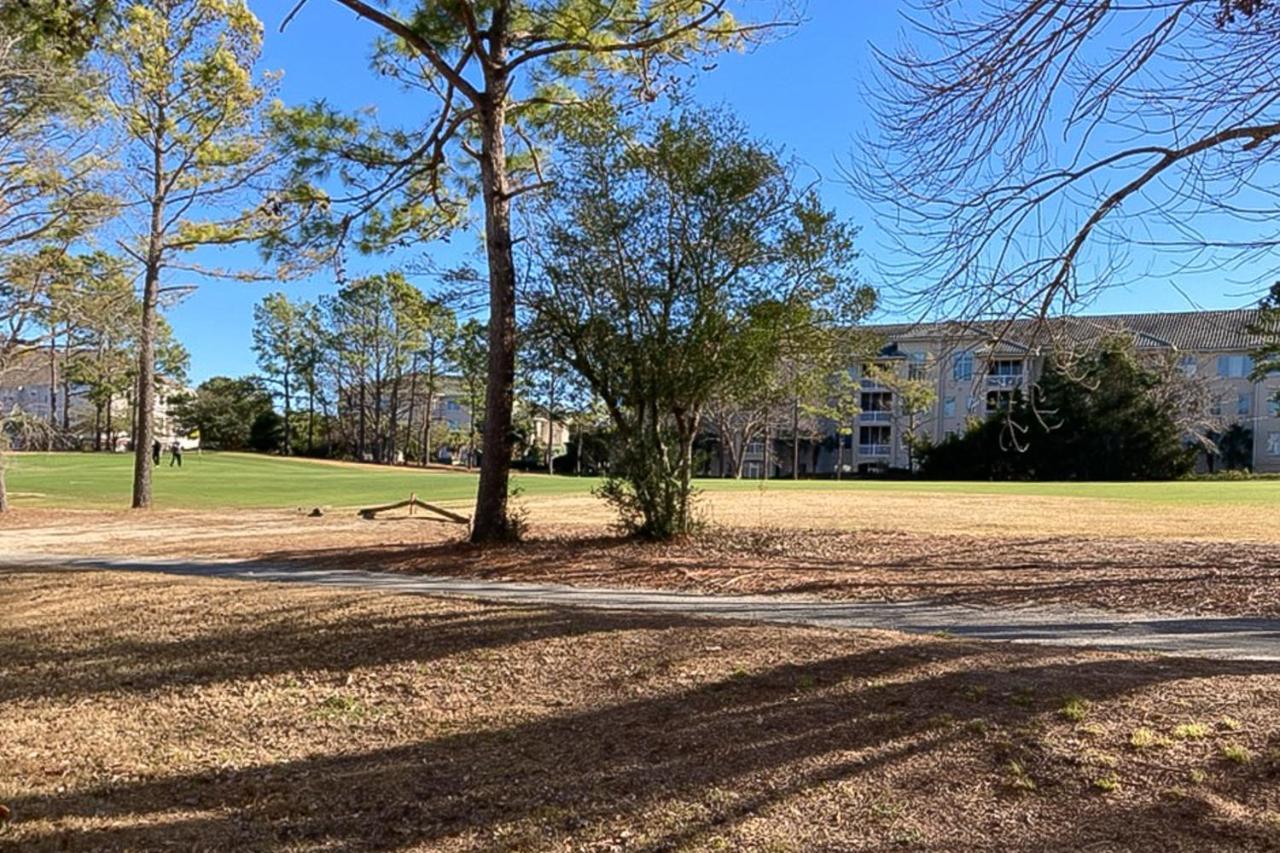The Sandy Oyster Myrtle Beach Exteriör bild